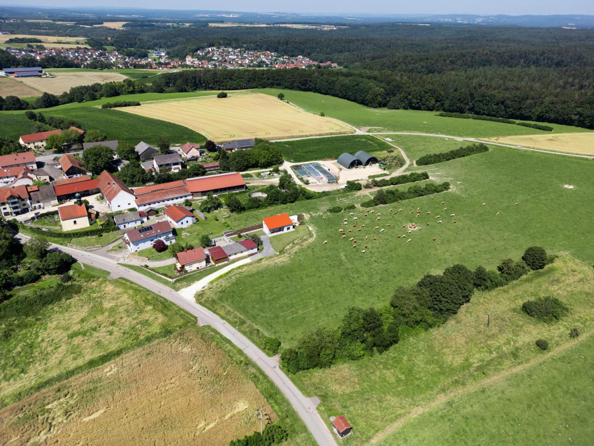 Wo Sich Kuh, Fuchs Und Hase Gute Nacht Sagen Appartement Wolfsegg Buitenkant foto